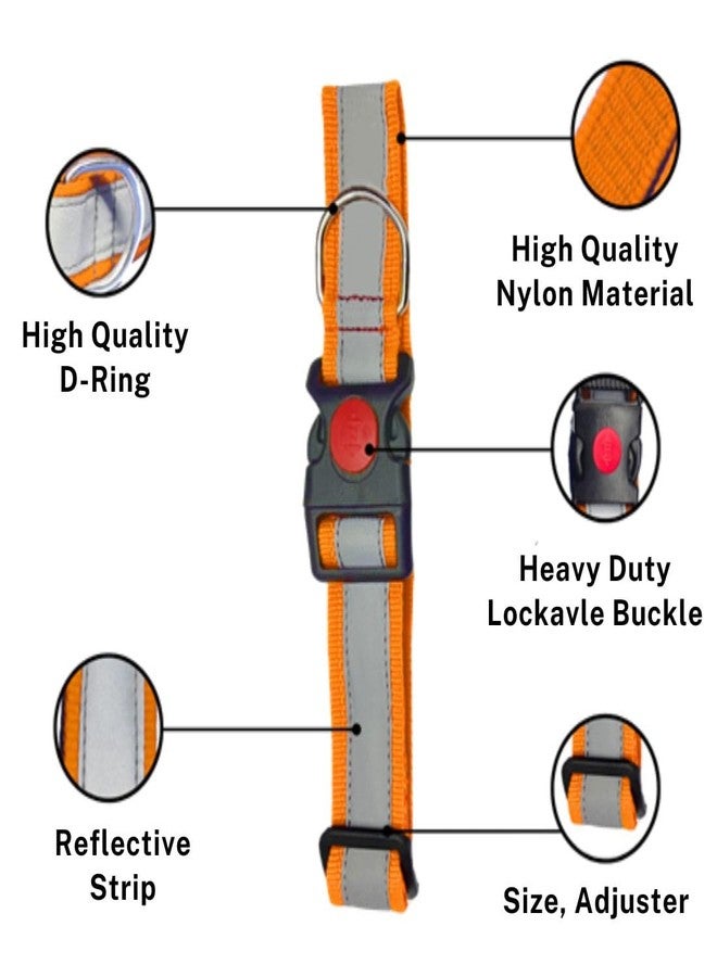 PET FUN طوق كلاب من النايلون فائق النعومة من بيت فن مع شريط عاكس للراديوم - قابل للتعديل، خفيف الوزن ومرن، مزود بإبزيم أمان سريع الفتح - طوق أساسي عالي الكثافة للجراء والسلالات الصغيرة (متوسط، 25 مم) - Image 3